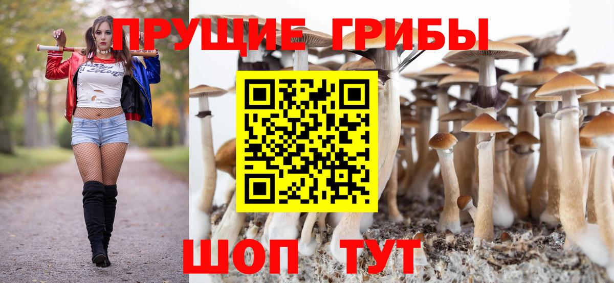 Галлюциногенные грибы мухоморы Домодедово